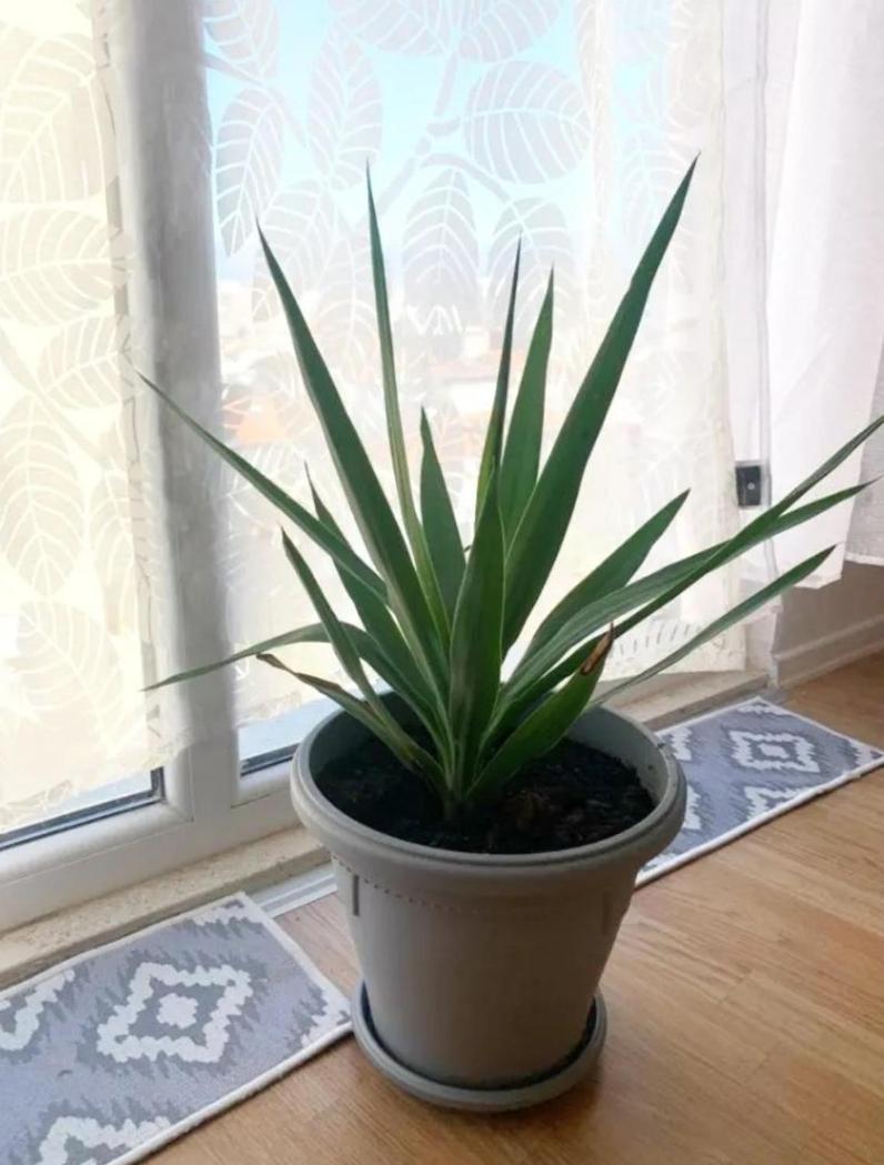 Beautiful And Lovely Apartment 地拉那 外观 照片